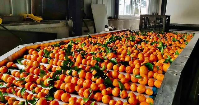 /uploads/image/2020/02/25/0225602.jpg /uploads/image/2020/02/25/0225602.jpg