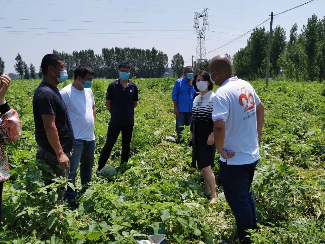 /uploads/image/2020/07/08/北3.jpg 北3.jpg