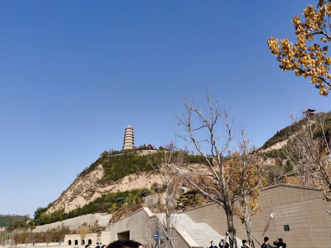 /uploads/image/2020/11/03/772.png 772.png